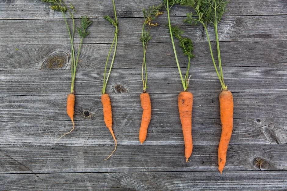 Five fresh carrots with leaves on a rustic wooden surface, presented in a top view layout.