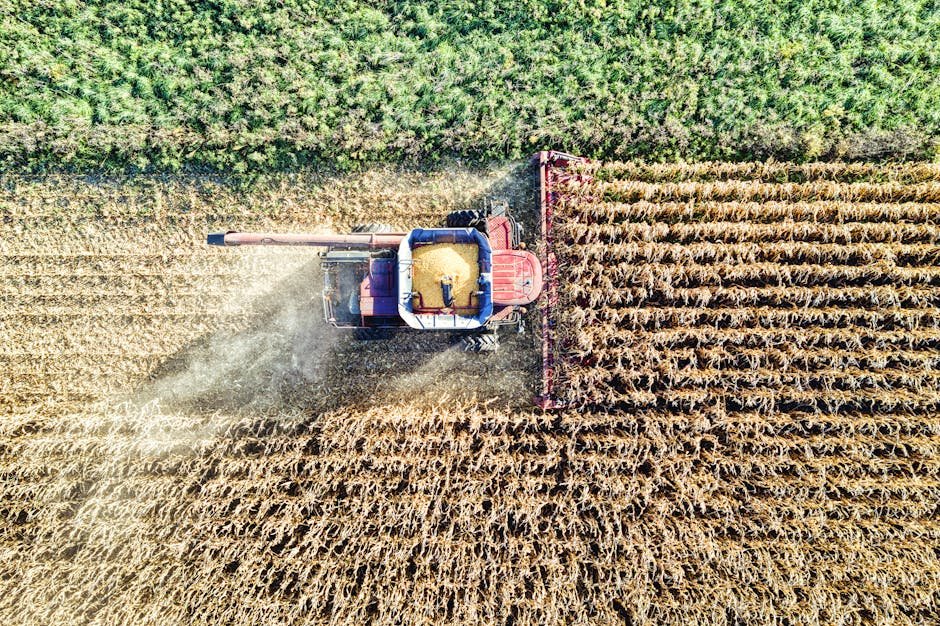 Aerial shot of a combine harvester working on a cornfield in rural Minnesota.